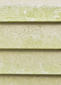Wooden-background-scaled