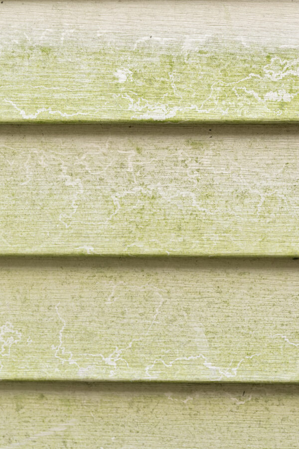 Wooden-background-scaled